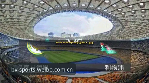 伟德国际体育微博网页登录新手指南：从零开始搞定BV平台（v2.0.6版实测教程）